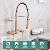 Dornberg Wall Mount Kitchen Faucet with Pull Down Sprayer, Spring Faucet