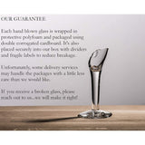 Dos Suenos Hand Blown Mexican Drinking Glasses - Set of 6 Confetti Rock Design Glasses (14 oz each)