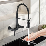 Double Handle Wall Mounted Spring Neck Bridge Kitchen Faucet