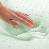 Authentic Comfort Green Tea Ventilated Memory Foam Pillow