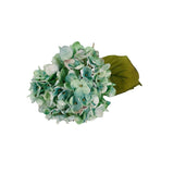 Dried Garden Artificial Hydrangea Stem Teal Set of 6 - N/A