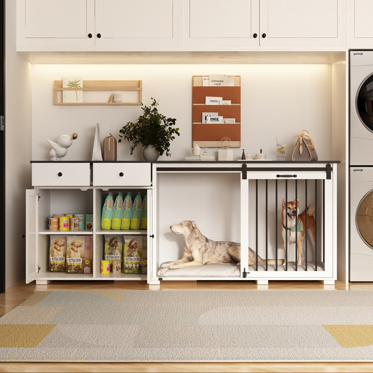 Dual-Drawer Cabinet Pet Sanctuary Contemporary Home Storage Solution