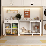 Dual-Drawer Cabinet Pet Sanctuary Contemporary Home Storage Solution