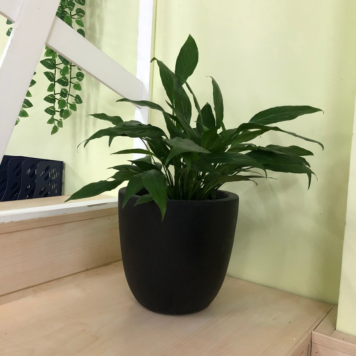 Durx-litecrete Lightweight Concrete Modern Seamless Round Cement Color Planter-Small - 9.8'x9.8'x9.1'