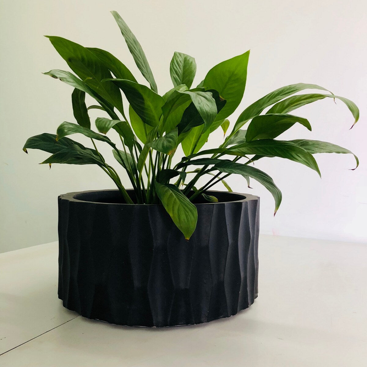 Durx-litecrete Lightweight Concrete Retro Low Round Black Planter-Small - 11.8'x11.8'x5.9'