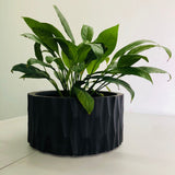 Durx-litecrete Lightweight Concrete Retro Low Round Black Planter-Small - 11.8'x11.8'x5.9'