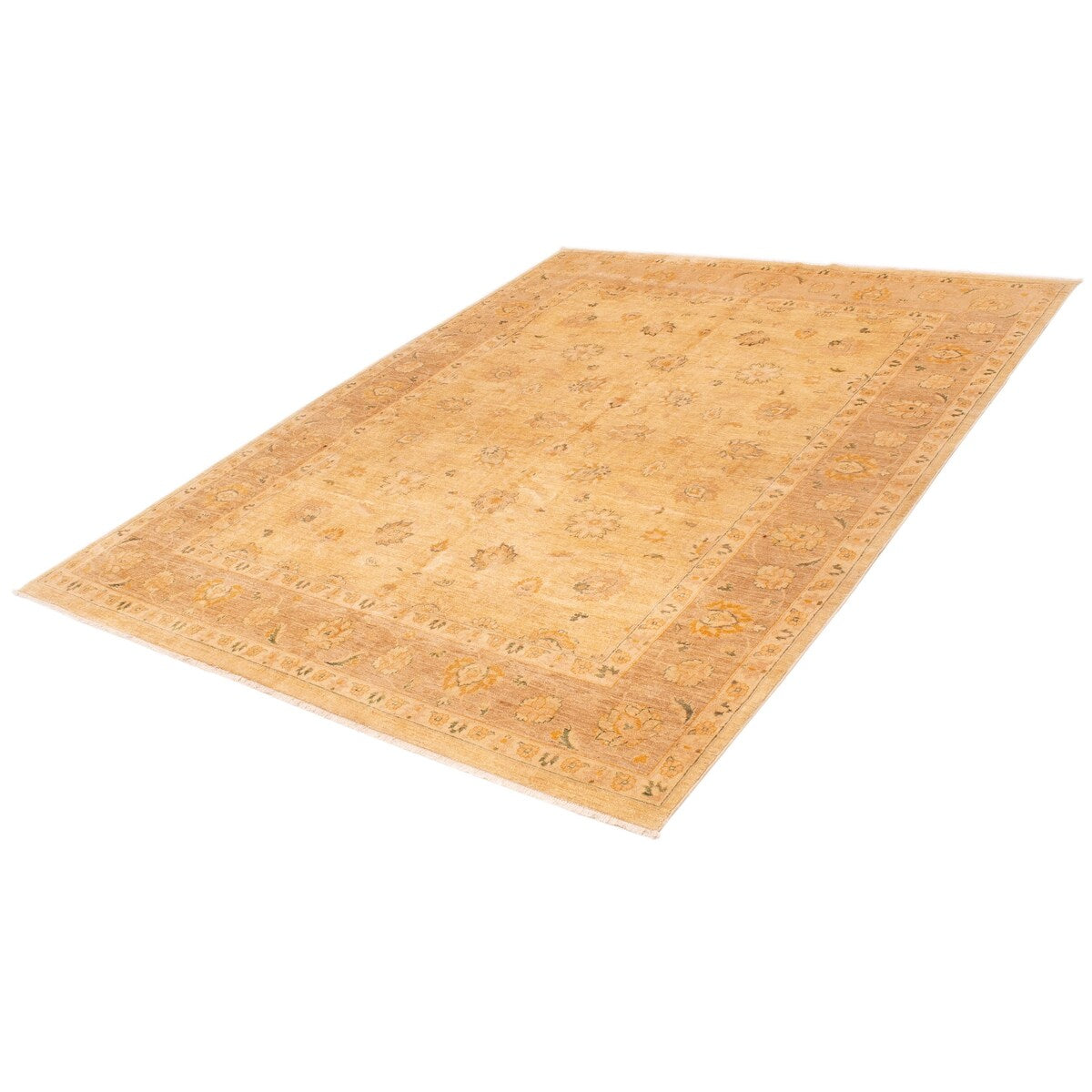 ECARPETGALLERY Hand-knotted Peshawar Oushak Ivory Wool Rug - 9'2 x 11'11