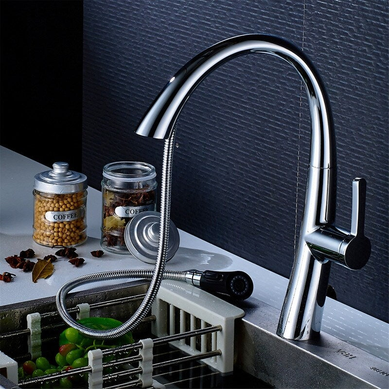 EPOWP Chrome Single-Handle Kitchen Faucet with Pull Down Sprayer