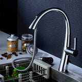 EPOWP Chrome Single-Handle Kitchen Faucet with Pull Down Sprayer