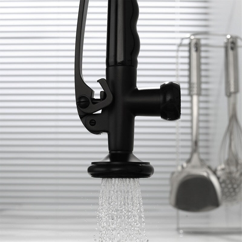 EPOWP Single Handle Kitchen Faucet Kitchen Sink Faucet With 2 Spout