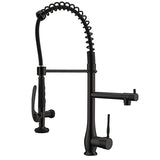 EPOWP Single Handle Kitchen Faucet Kitchen Sink Faucet With 2 Spout