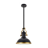 Eamon 1 Light matte black Pendant - One Size