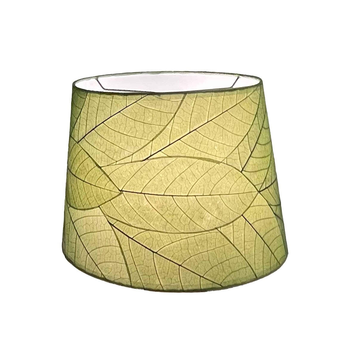 Eangee 14 Inch Tapered Drum Shade
