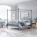 Earhart Metal Queen Canopy Platform Bed by Christopher Knight Home
