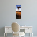 Easy Art Prints Panoramic Images's 'Golden Hour, Helwath Plantation, North Yorkshire, England, United Kingdom' Canvas Art