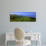 Easy Art Prints Panoramic Images's 'St Catherines Chapel and Abbotsbury, Dorset, England' Premium Canvas Art