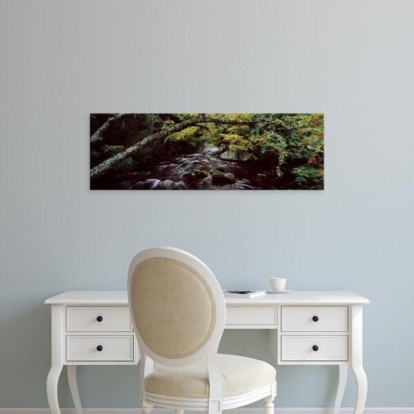 Easy Art Prints Panoramic Images's 'Stream flowing through a forest, Adirondack Mountains, New York State' Premium Canvas Art
