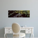 Easy Art Prints Panoramic Images's 'Stream flowing through a forest, Adirondack Mountains, New York State' Premium Canvas Art