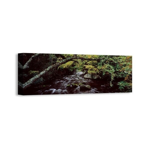 Easy Art Prints Panoramic Images's 'Stream flowing through a forest, Adirondack Mountains, New York State' Premium Canvas Art