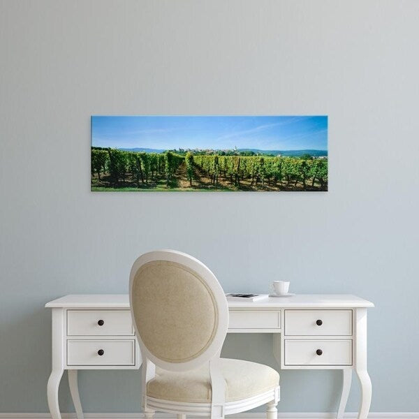 Easy Art Prints Panoramic Images's 'Vineyard, Alsace, France' Premium Canvas Art