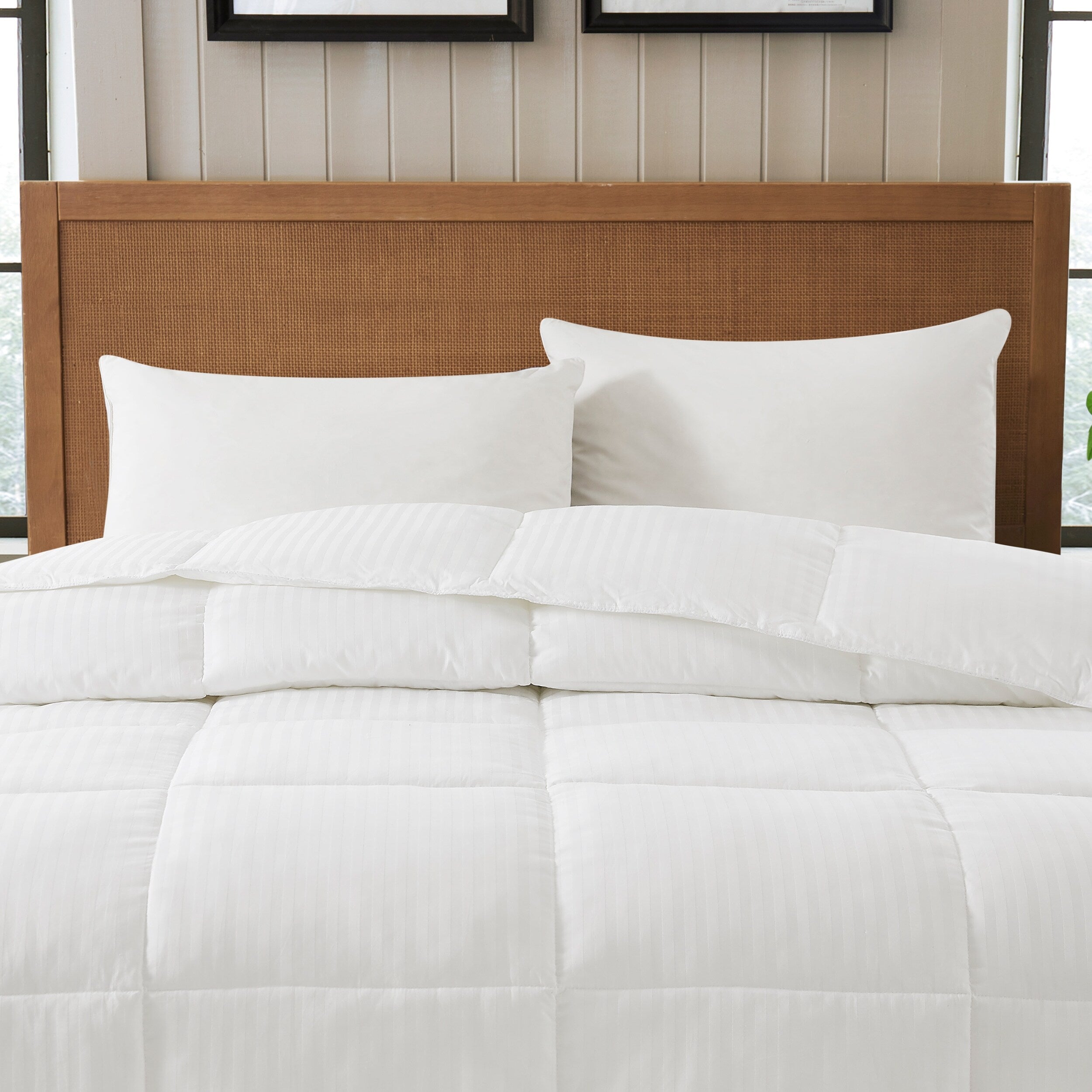 Eddie Bauer Lightweight PrimaLoft Down Alternative Comforter Hypoallergenic Oversized