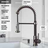 Edison Single-Hole 1-Handle Dual-Function Pull-Down Spray Kitchen Faucet and Soap Dispenser in Graphite Black