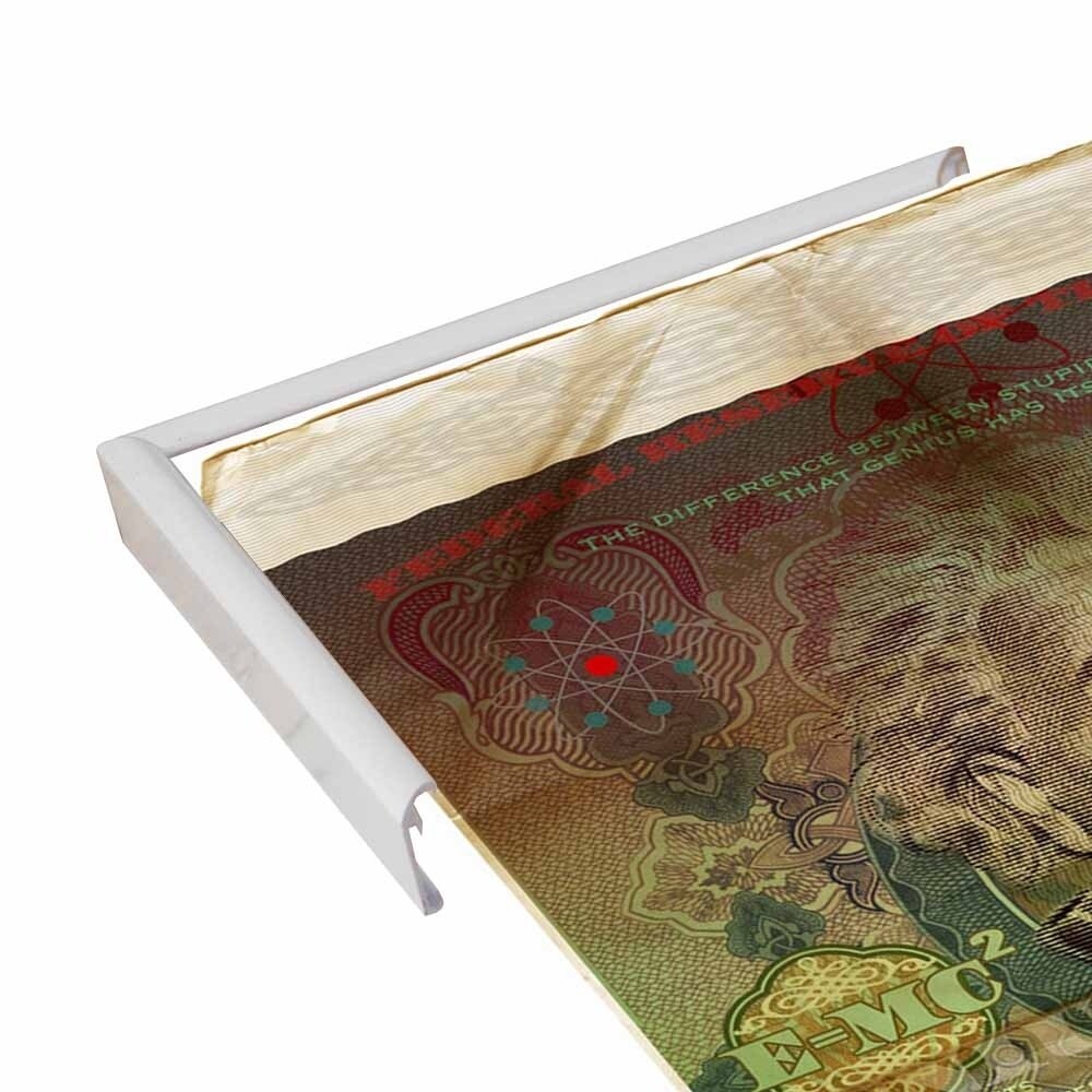 Einstein-VALBOC139186 Print 40"x26.5" by Val Bochkov