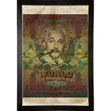 Einstein-VALBOC139186 Print 40"x26.5" by Val Bochkov