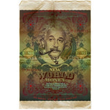 Einstein-VALBOC139186 Print 40"x26.5" by Val Bochkov