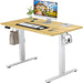 Electric Height Adjustable Ergonomic Computer Desk