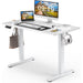 Electric Height Adjustable Standing Desk,Sit to Stand Ergonomic Computer Desk, 48'' x 24"