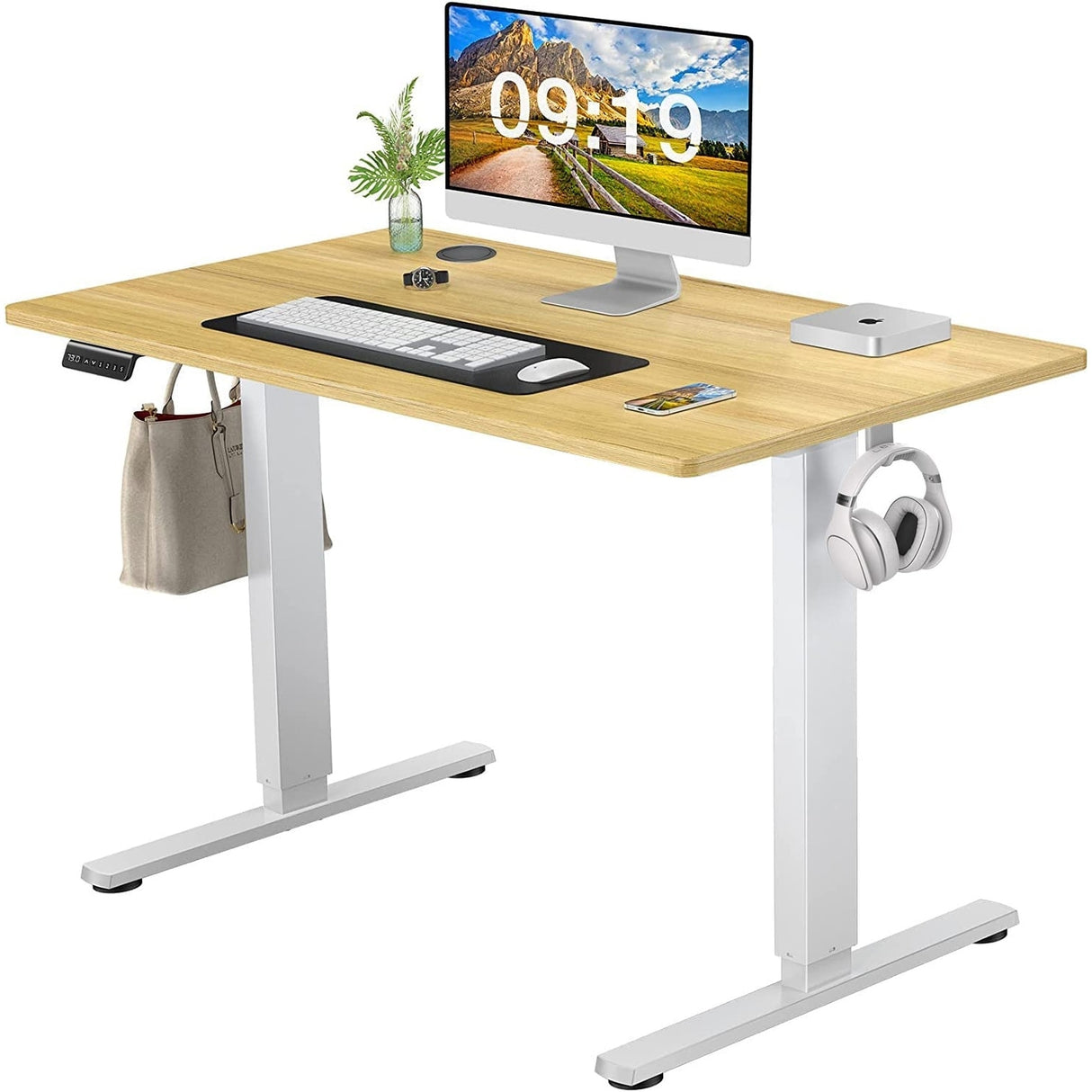 Electric Height Adjustable Wooden Desktop Standing Desk, Natural