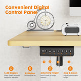 Electric Height Adjustable Wooden Desktop Standing Desk, Natural