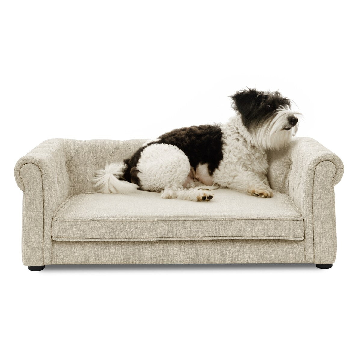 Elegant Rectangle Pet Bed for Medium and Large Dogs,Durable Elevated Dog Sofa Bed,Dog Couch,Dog Sofa for Large Dogs