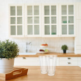 Elle Decor Double Wall Insulated Glass Tumbler Set of 2 - 14oz