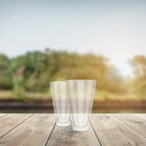 Elle Decor Double Wall Insulated Glass Tumbler Set of 2 - 14oz