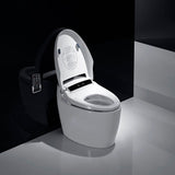 Elongated One Piece Smart Toilet