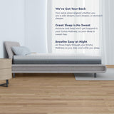 Emma 12-inch Visco-Elastic Memory Foam Mattress