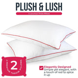 Empyrean Bedding Bed Pillows - Premium Pillows Set of 2 - Perfect for Stomach, Side and Back Sleepers - White
