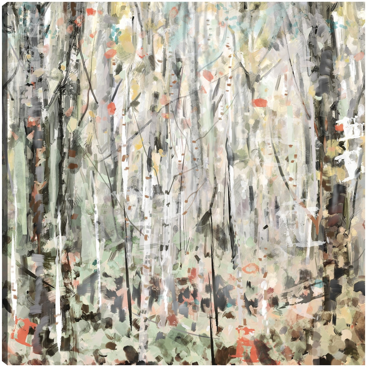 Enchanted Birches By Studio Arts Canvas Art Print