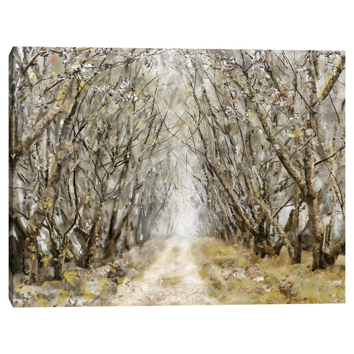 Enchantment by Studio Arts Canvas Art Print