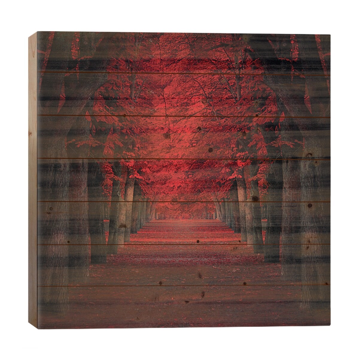 Endless Passion Print On Wood by Ildiko Neer - Multi-Color