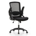 Ergonomic Mesh Office Desk Chair with High Back, 360° Swivel Executive Computer Chair