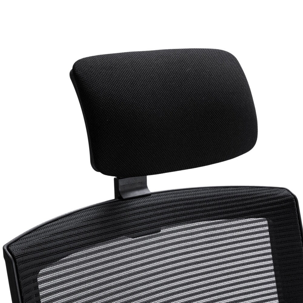 GZMR Ergonomic Office Chair Adjustable Headrest Mesh Office Chair