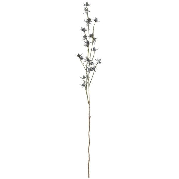Sullivans Eryngo Spray