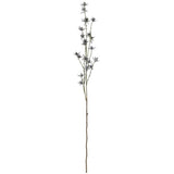Sullivans Eryngo Spray