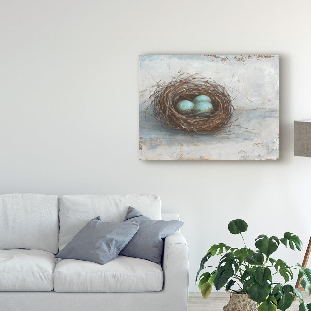 Ethan Harper 'Rustic Bird Nest I' Canvas Art
