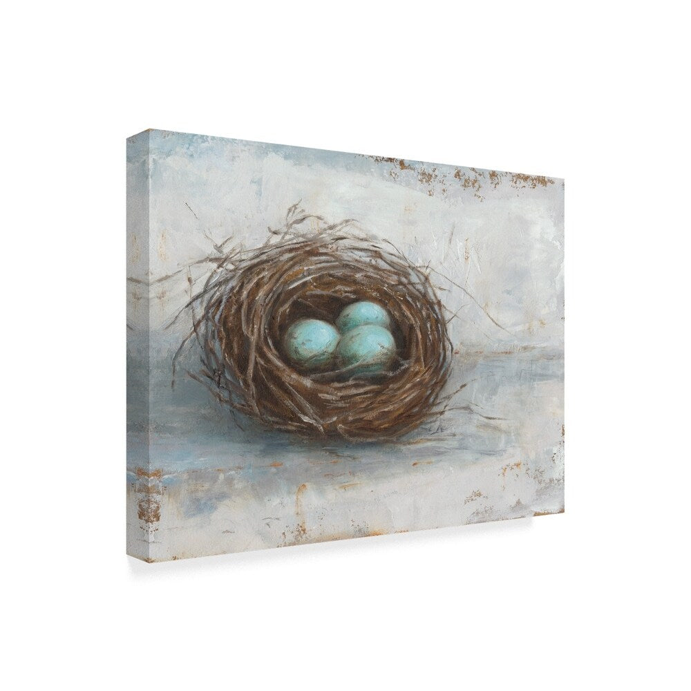 Ethan Harper 'Rustic Bird Nest I' Canvas Art