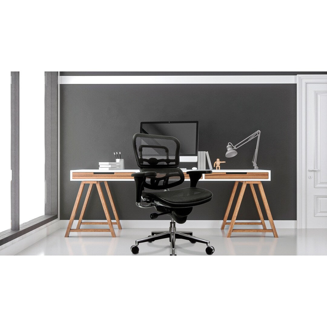 Eurotech Seating Ergohuman Mesh Managers Chair