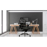 Eurotech Seating Ergohuman Mesh Managers Chair